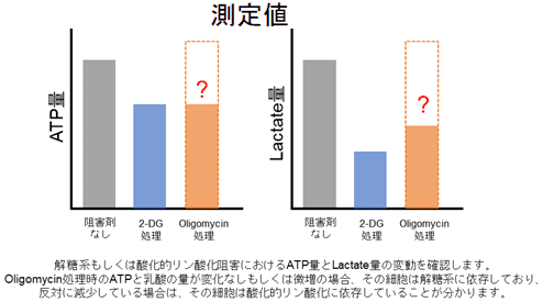 測定値