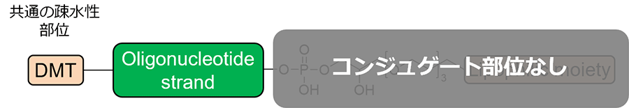 [模式図]コンジュゲート核酸