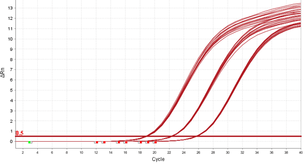 グラフ：qPCR