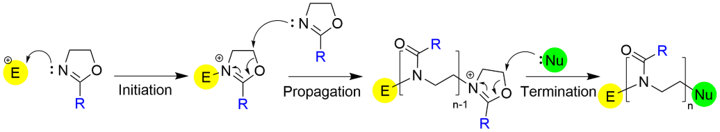ポリオキサゾリンの重合（CROP）　メカニズム