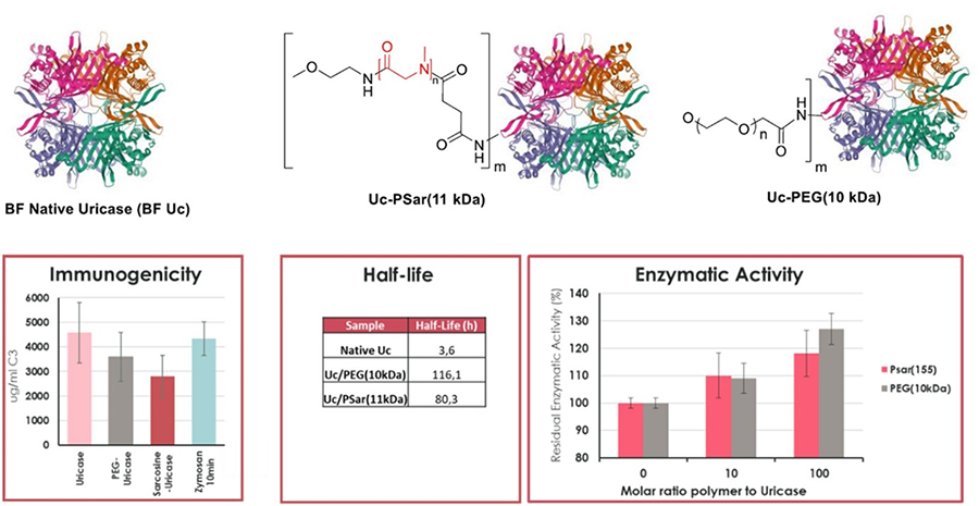 ウリカーゼのPEG化とポリサルコシン化比較