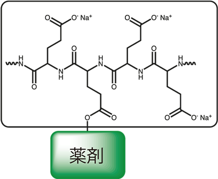 ポリグルタミン酸と薬剤のコンジュゲート