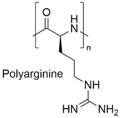 ポリアルギニン