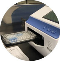 Absorbance Measurement
