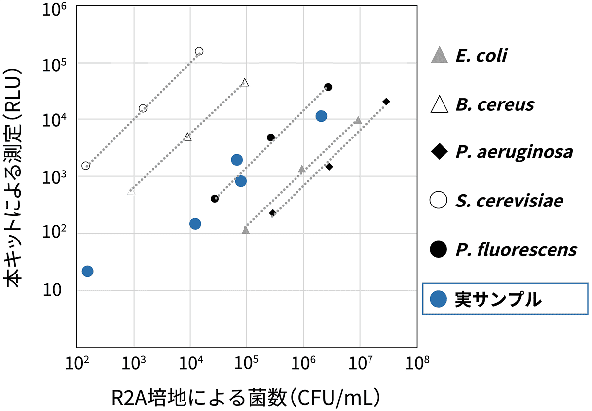 測定例