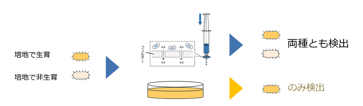 培養法との違い2