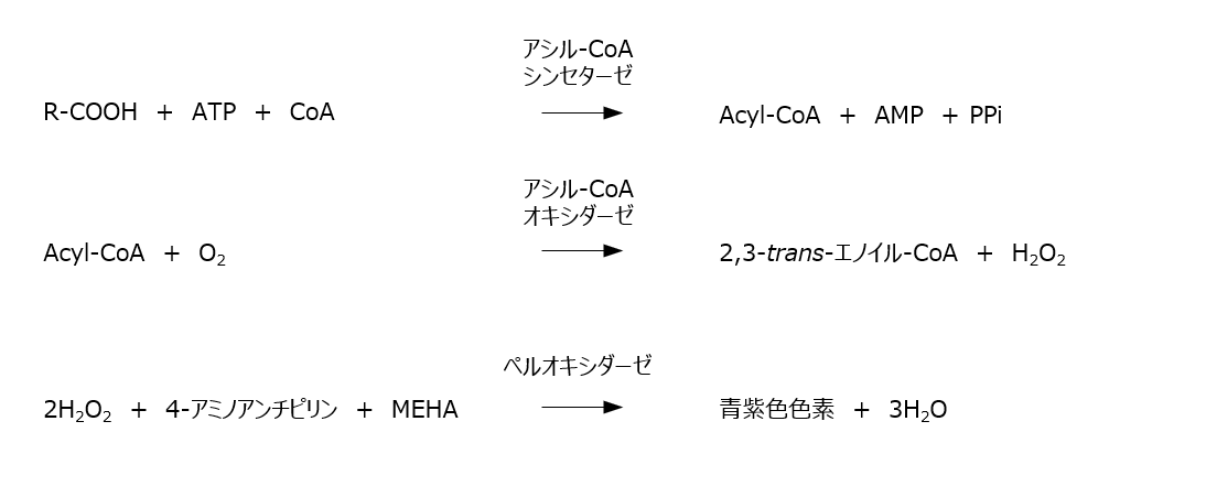 ACS・ACOD法を用いた遊離脂肪酸の測定原理