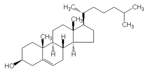 図1 コレステロールの構造
