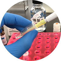 Sample Preparation
