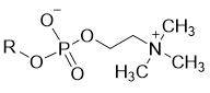 Phosphorylcholine
(Phosphobetaine)
