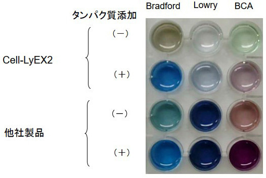 参考データ　細胞溶解剤のタンパク定量法への影響