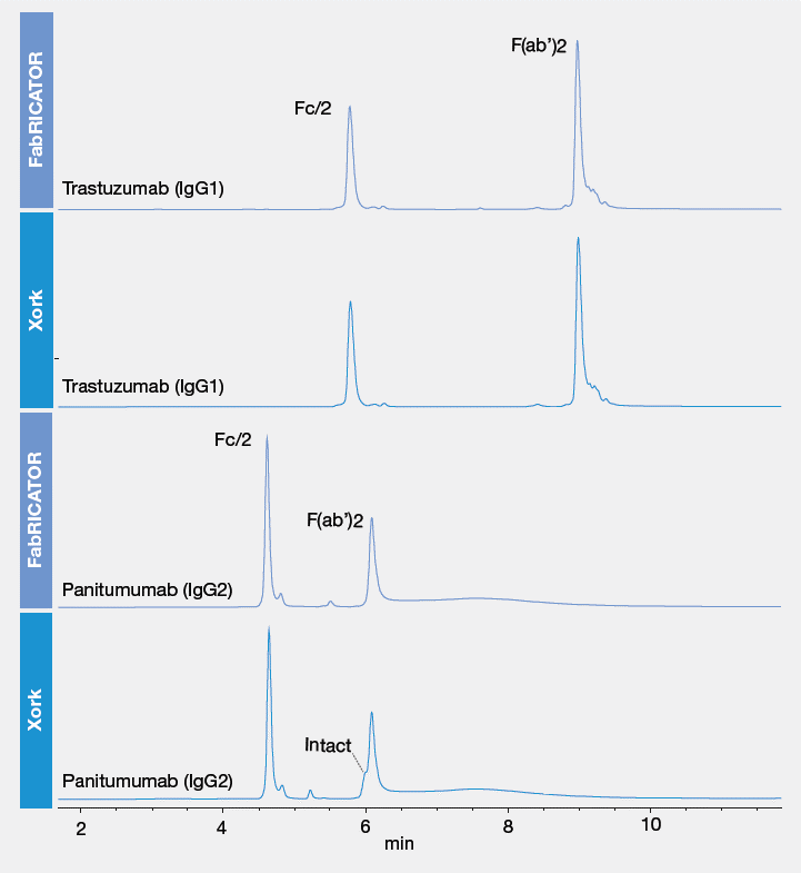 酵素処理IgGのLC-MS分析