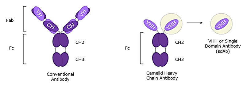 AlpalifeBio beads