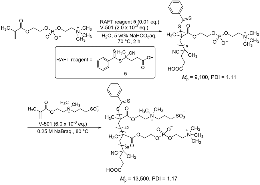 RAFT重合によるMPCブロックポリマーの合成