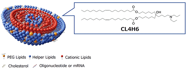 機能性カチオン性脂質 CL4H6