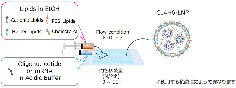 CL4H6 を用いた LNP 製剤の推奨作製条件