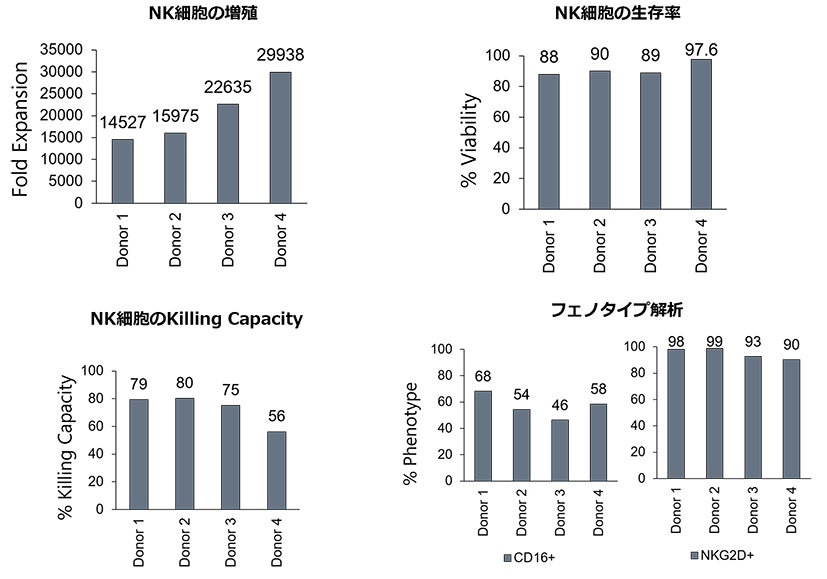 NK細胞の増殖/生存率/Killing能/フェノタイプ解析　グラフ