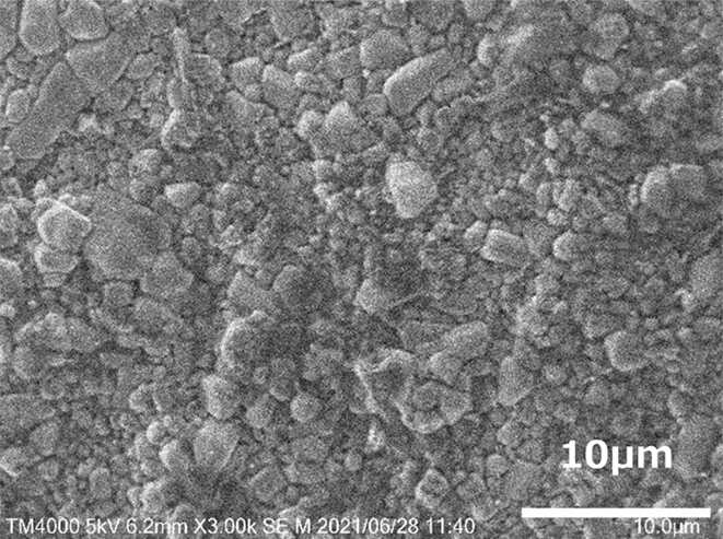 図：焼結体表面のSEM画像