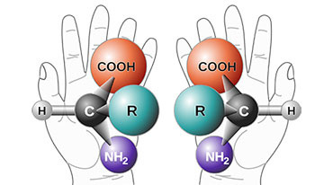 Chiral Building Blocks