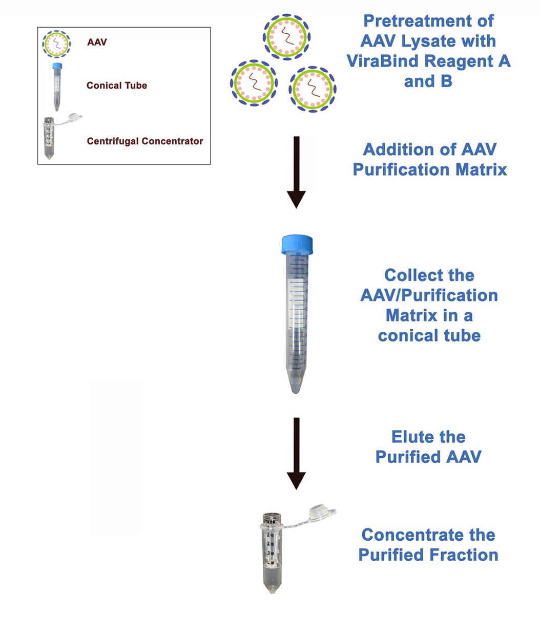 Standard Kit (#VPK-140) AAV精製の流れ