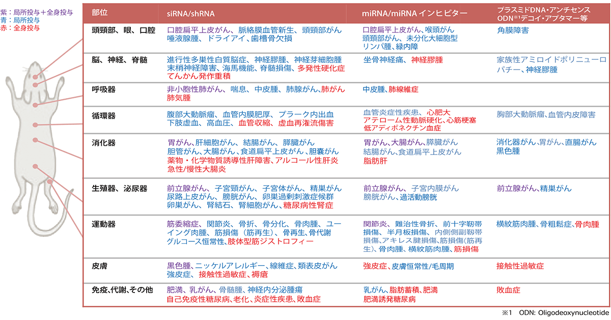 アテロコラーゲンを用いたDDS関連の報告一覧