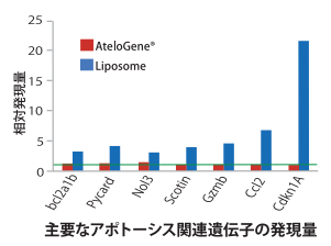 マイクロアレイを用いた肝毒性比較 (全身投与)