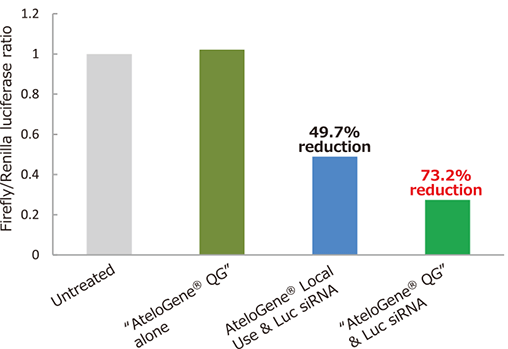 AteloGene®Local Use Quick Gelationを用いたマウス皮下腫瘍モデルへのsiRNA局所投与