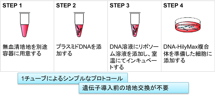 使用法