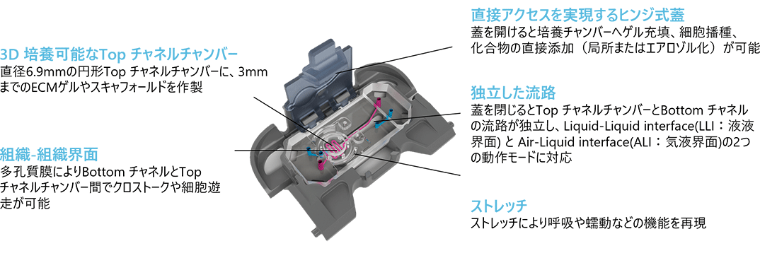 Chip-A1™ Accessible Chip