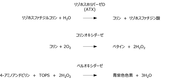 図1 オートタキシン(ATX)の測定原理