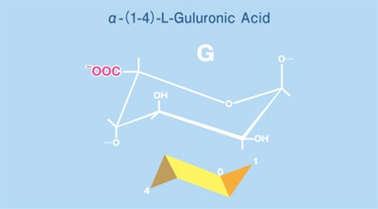 α-(1-4)-L-Guluronic Acid