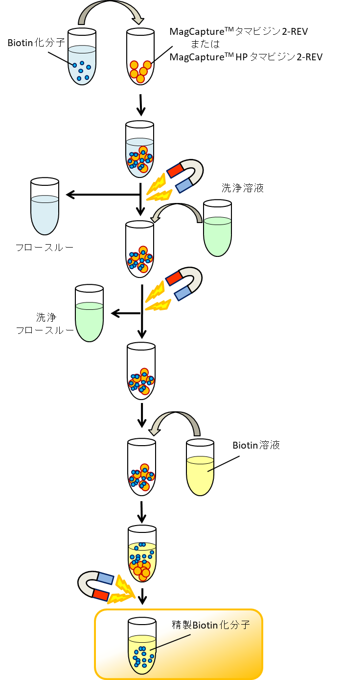 図解：使用方法