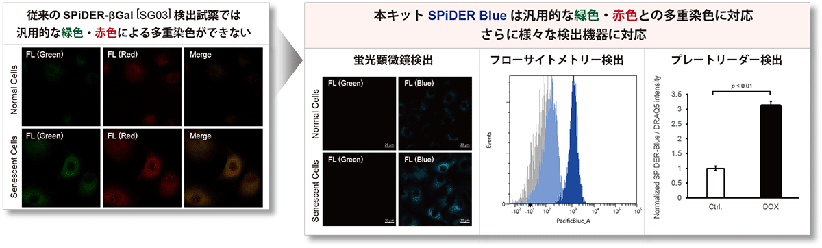 汎用色との課題を解決