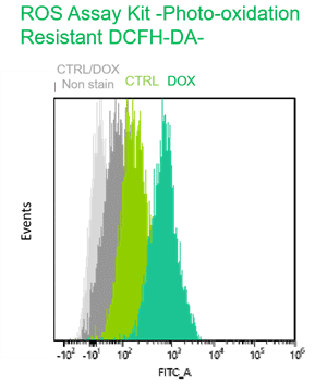 ROS Assay Kit