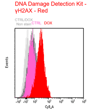 DNA
Damage Detection Kit