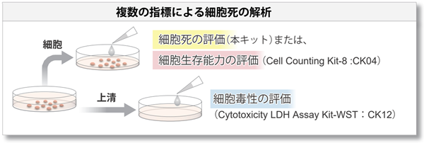 性質