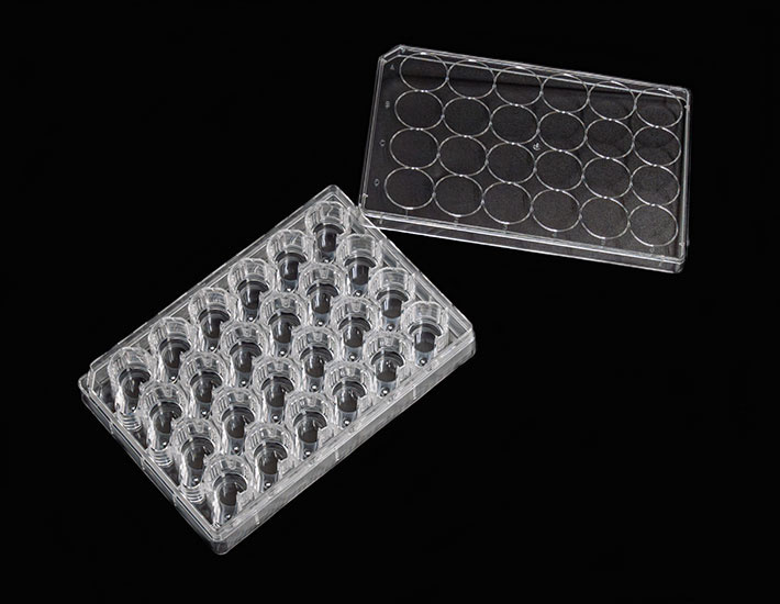 スミロンコンパニオンプレート (セルカルチャーインサート用)