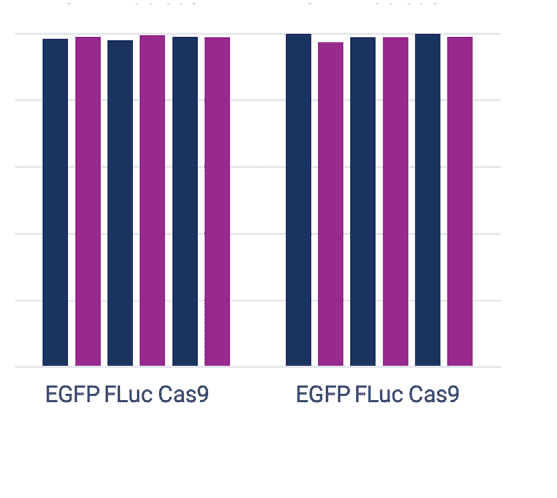 TriLink IVT Enzymes