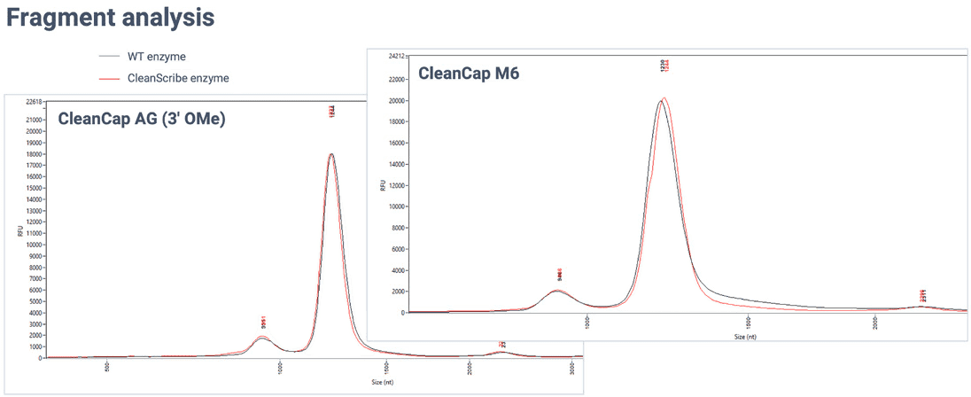 TriLink IVT Enzymes