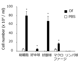 気管支肺胞洗浄液中の細胞数・細胞分画