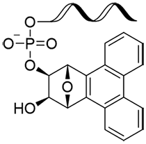 oligonucleotide-PT(未放出体)