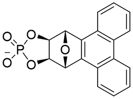 cp-PT