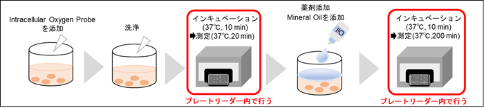 操作概要