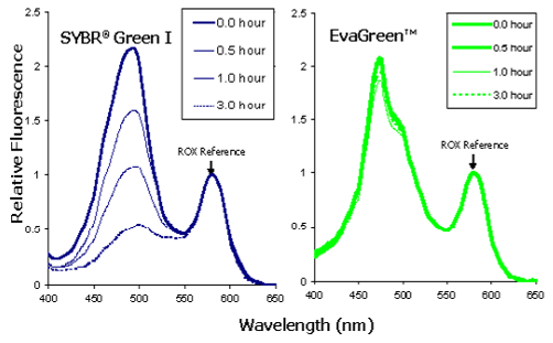 EvaGreen® の蛍光安定性