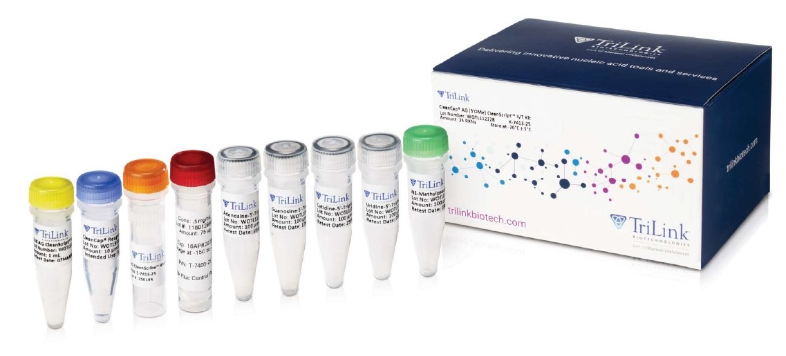 IVT kit