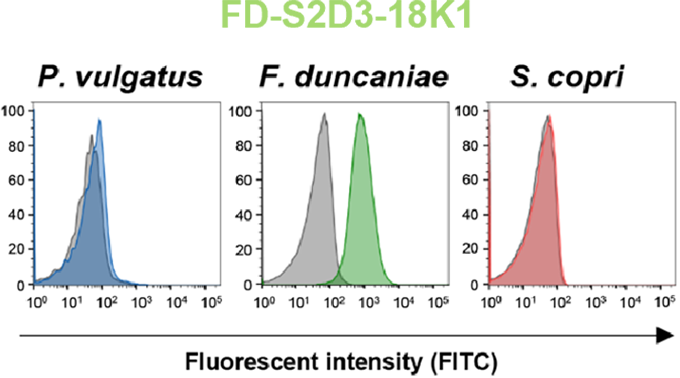 FD-S2D3-18K1