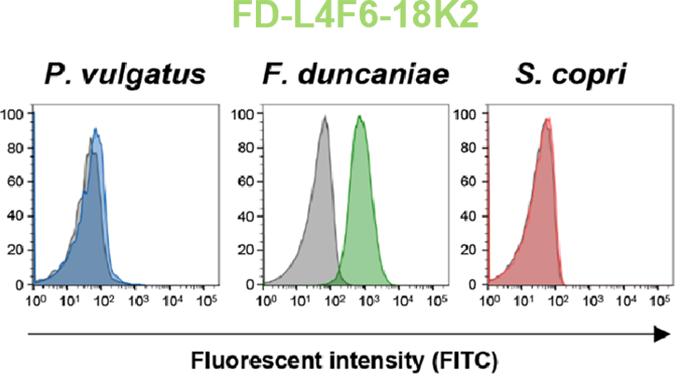 FD-L4F6-18K2