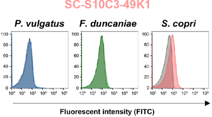 SC-S10C3-49K1