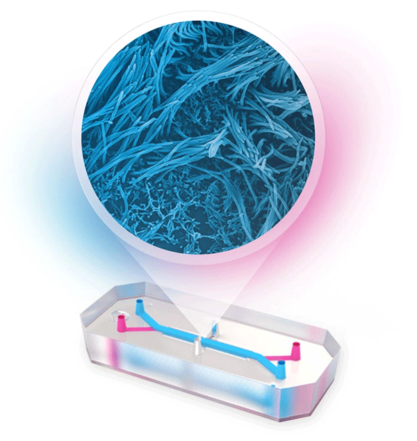 Lung-Chip
