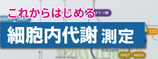 これからはじめる細胞内代謝